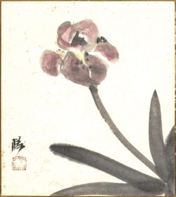 画像1: 原勝四郎色紙「あやめ」