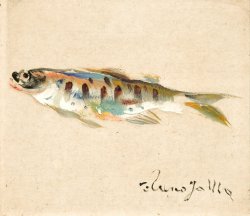 画像1: 上野山清貢色紙額「魚」