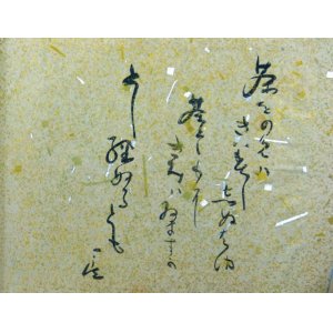 画像: 小松庵花卉記　附野清画漫記