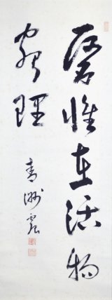 画像: 巧芸版華岡青洲書幅「医惟在活物窮理」