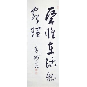 画像: 巧芸版華岡青洲書幅「医惟在活物窮理」