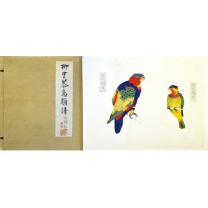 画像: 柳里恭鳥類譜