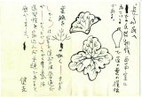 画像: 杉本健吉絵入書簡