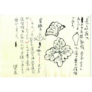 画像: 杉本健吉絵入書簡