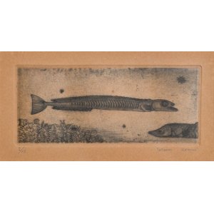 画像: 駒井哲郎銅版画「小さな魚」