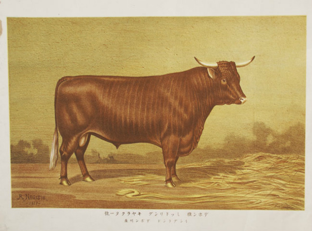 石版画「牛の図」６枚 - えびな書店オンラインギャラリー