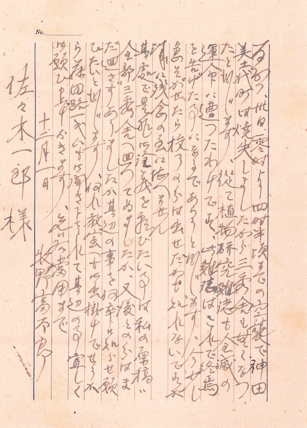 画像: 牧野富太郎書簡　佐々木一郎宛